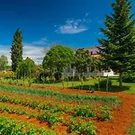 Martina * Пореч